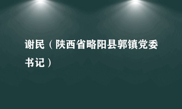 谢民（陕西省略阳县郭镇党委书记）