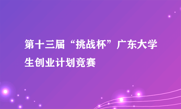 第十三届“挑战杯”广东大学生创业计划竞赛