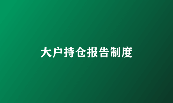 大户持仓报告制度