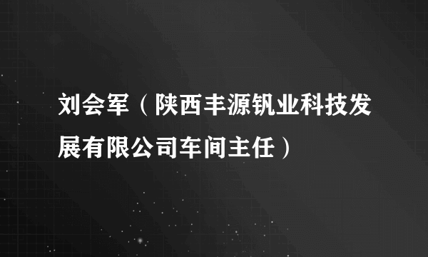 刘会军（陕西丰源钒业科技发展有限公司车间主任）