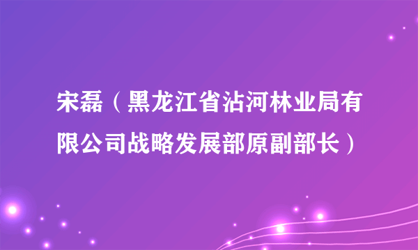 宋磊（黑龙江省沾河林业局有限公司战略发展部原副部长）