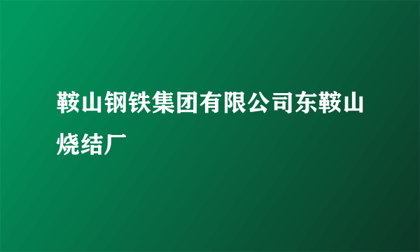 鞍山钢铁集团有限公司东鞍山烧结厂