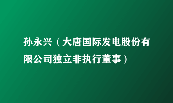 孙永兴（大唐国际发电股份有限公司独立非执行董事）