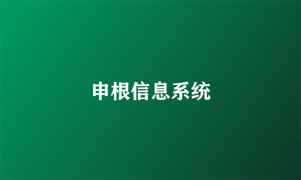 申根信息系统