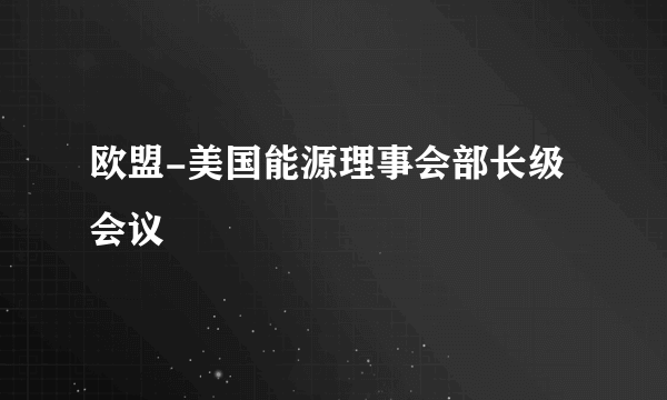 欧盟-美国能源理事会部长级会议