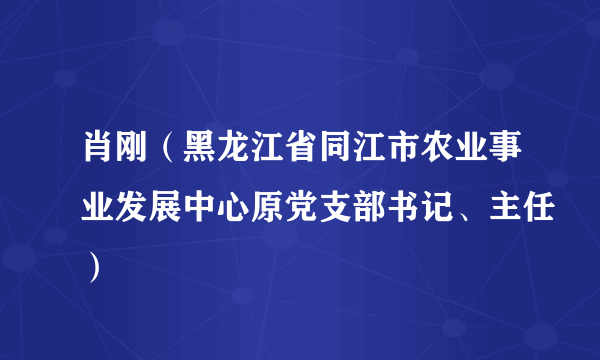 肖刚（黑龙江省同江市农业事业发展中心原党支部书记、主任）