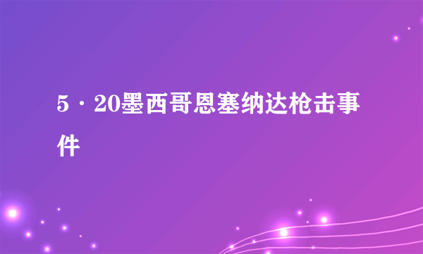 5·20墨西哥恩塞纳达枪击事件