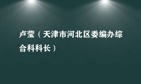 卢莹（天津市河北区委编办综合科科长）