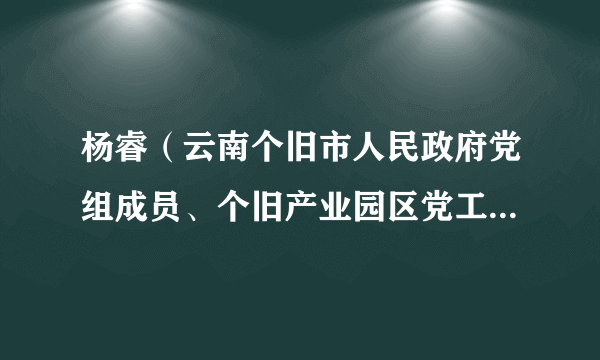 杨睿（云南个旧市人民政府党组成员、个旧产业园区党工委副书记、管委会副主任，市工信局局长）