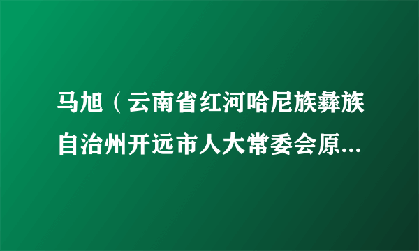 马旭（云南省红河哈尼族彝族自治州开远市人大常委会原副主任）