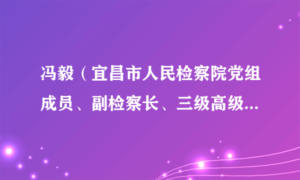 冯毅（宜昌市人民检察院党组成员、副检察长、三级高级检察官）