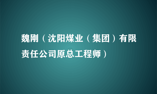 魏刚（沈阳煤业（集团）有限责任公司原总工程师）