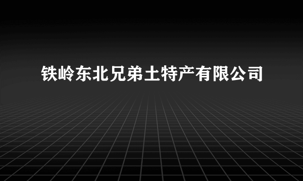 铁岭东北兄弟土特产有限公司