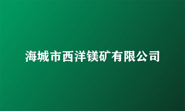 海城市西洋镁矿有限公司