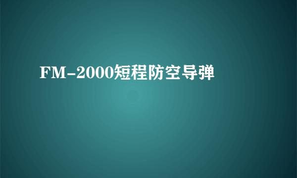 FM-2000短程防空导弹