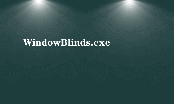 WindowBlinds.exe