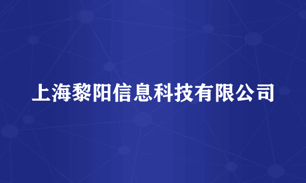 上海黎阳信息科技有限公司