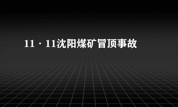 11·11沈阳煤矿冒顶事故