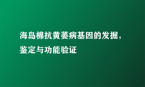 海岛棉抗黄萎病基因的发掘，鉴定与功能验证