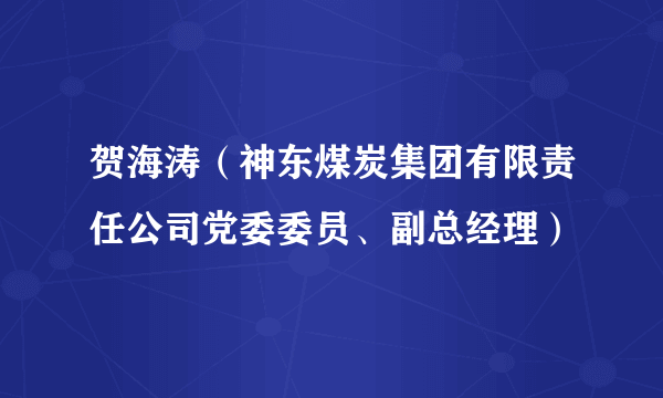 贺海涛（神东煤炭集团有限责任公司党委委员、副总经理）