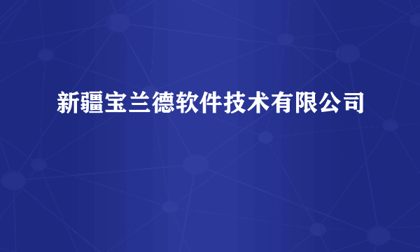 新疆宝兰德软件技术有限公司