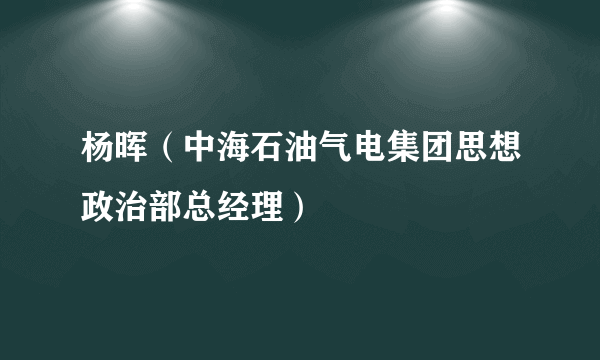 杨晖（中海石油气电集团思想政治部总经理）