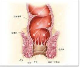 肛门酸痛