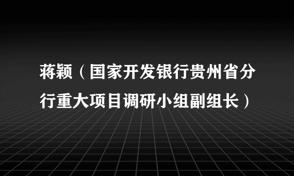 蒋颖（国家开发银行贵州省分行重大项目调研小组副组长）