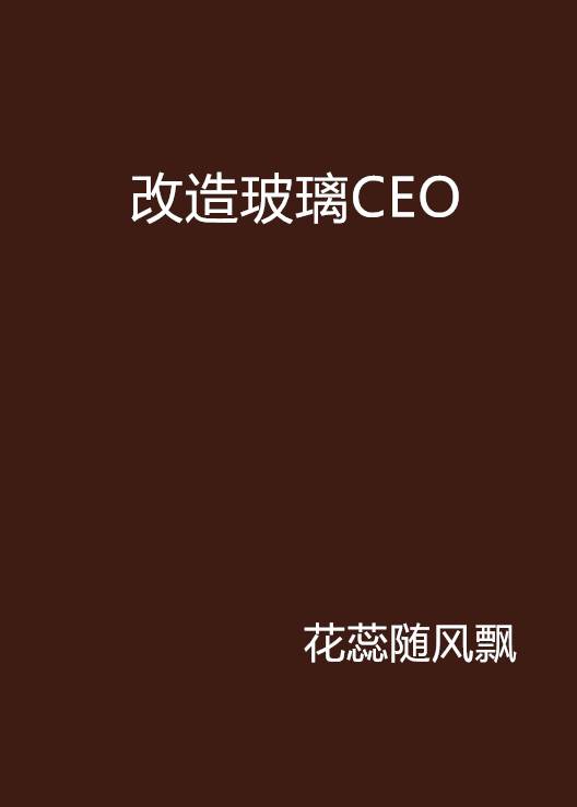 改造玻璃CEO