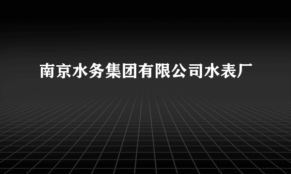 南京水务集团有限公司水表厂