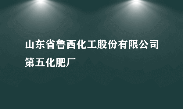 山东省鲁西化工股份有限公司第五化肥厂