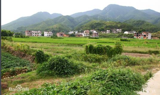 梅岭村（江西省赣州市上犹县油石乡下辖村）