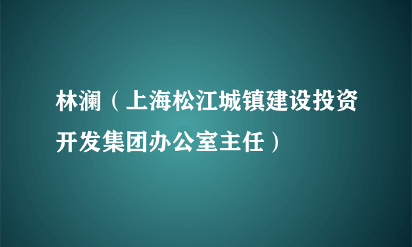 林澜（上海松江城镇建设投资开发集团办公室主任）