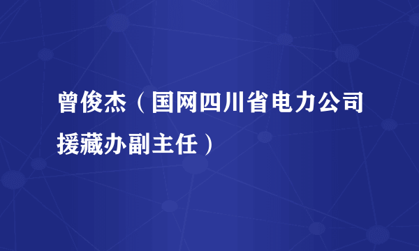 曾俊杰（国网四川省电力公司援藏办副主任）