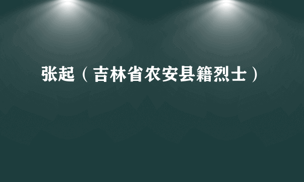 张起（吉林省农安县籍烈士）