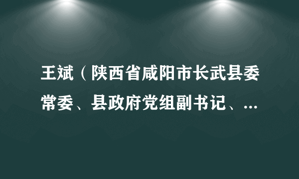 王斌（陕西省咸阳市长武县委常委、县政府党组副书记、常务副县长）