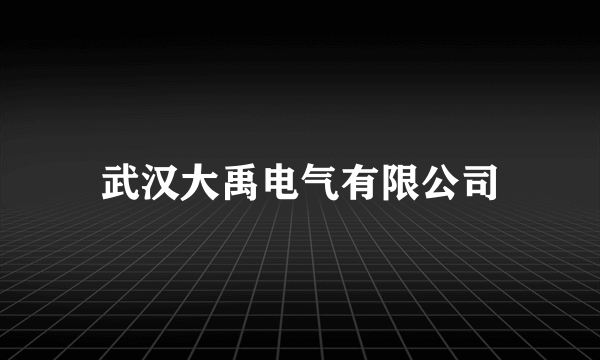 武汉大禹电气有限公司