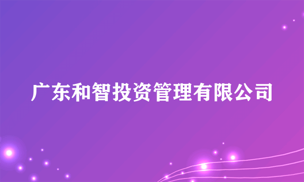 广东和智投资管理有限公司