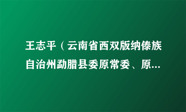 王志平（云南省西双版纳傣族自治州勐腊县委原常委、原常务副县长）