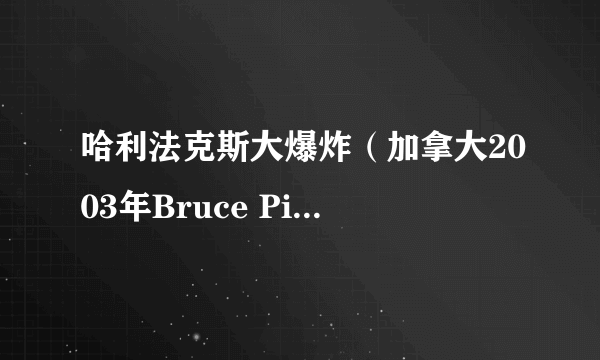 哈利法克斯大爆炸（加拿大2003年Bruce Pittman执导电影）