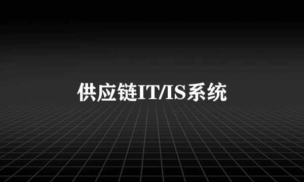 供应链IT/IS系统