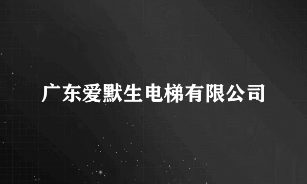 广东爱默生电梯有限公司