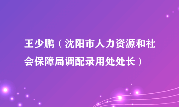 王少鹏（沈阳市人力资源和社会保障局调配录用处处长）