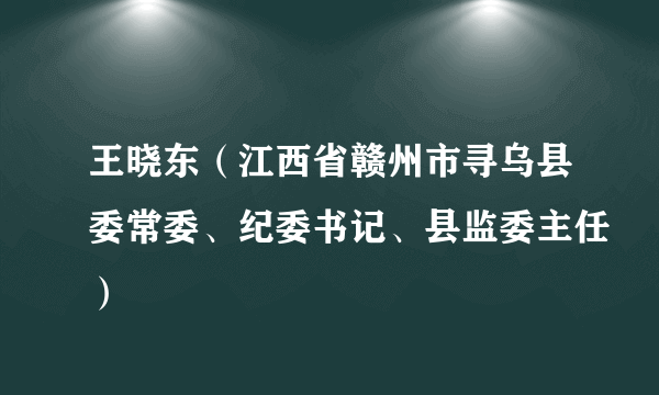 王晓东（江西省赣州市寻乌县委常委、纪委书记、县监委主任）