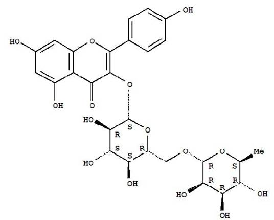 山奈酚-3-O-芸香糖苷