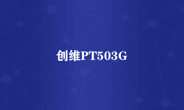 创维PT503G