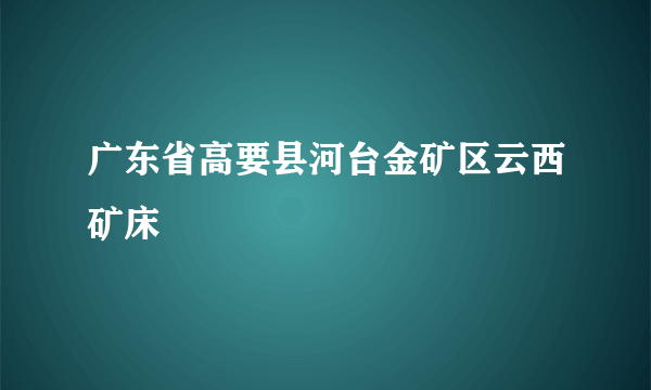 广东省高要县河台金矿区云西矿床