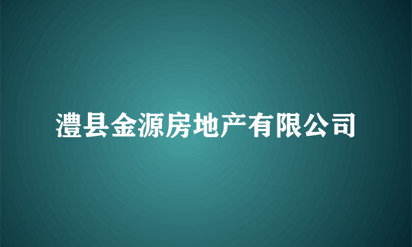 澧县金源房地产有限公司