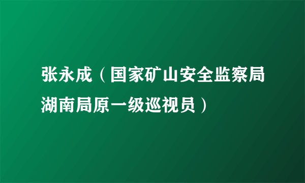 张永成（国家矿山安全监察局湖南局原一级巡视员）