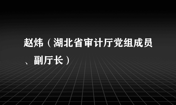 赵炜（湖北省审计厅党组成员、副厅长）